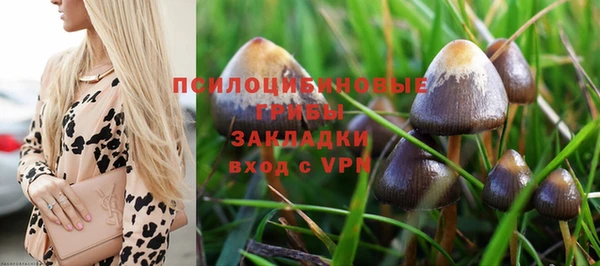 Альфа ПВП Абаза