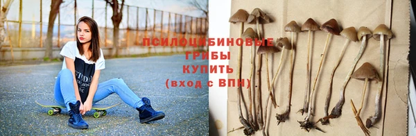 мескалин Абинск