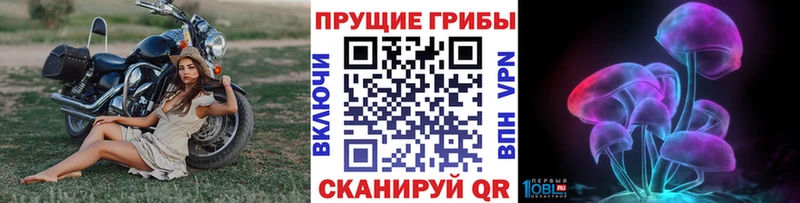 Галлюциногенные грибы мицелий  Яблоновский 